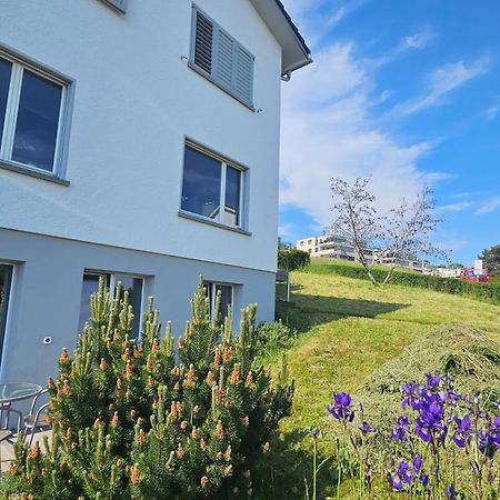 Lake View Private Studio Richterswil Eksteriør billede