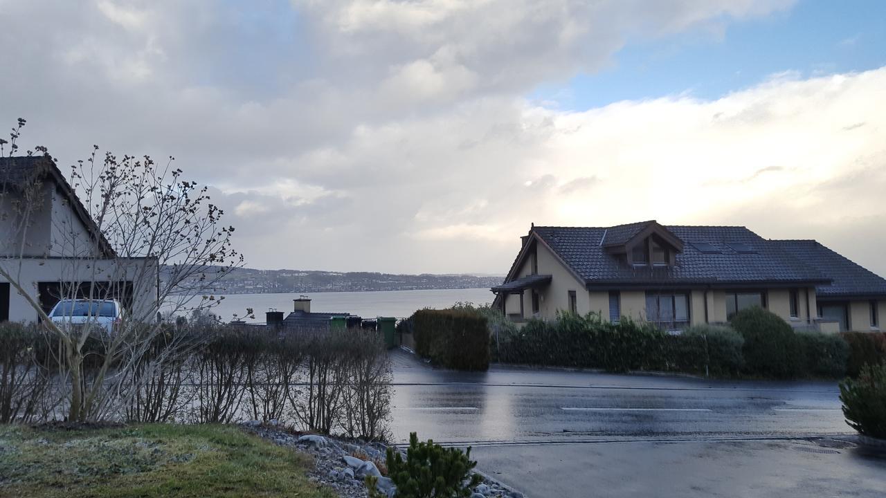 Lake View Private Studio Richterswil Eksteriør billede