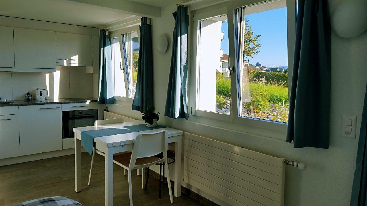 Lake View Private Studio Richterswil Eksteriør billede